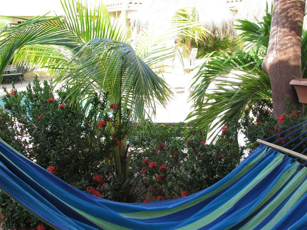 Aruba Tropic Apartments Noord Eksteriør bilde
